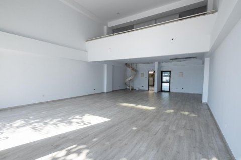 2130m2 Commercial property in Nicosia, No. 37968 14