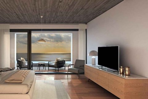 Sea Caves Villa in Pegeia, Paphos,  No. 50793 7