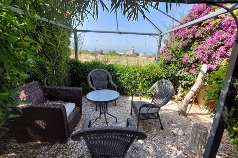 3 chambres Villa à Pegeia, Paphos, No. 56578 15