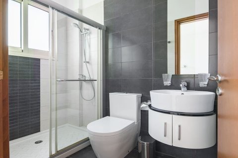 1 bedroom Maisonette in Limassol,  No. 49391 9