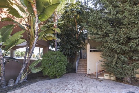 1 bedroom Maisonette in Limassol,  No. 49391 10
