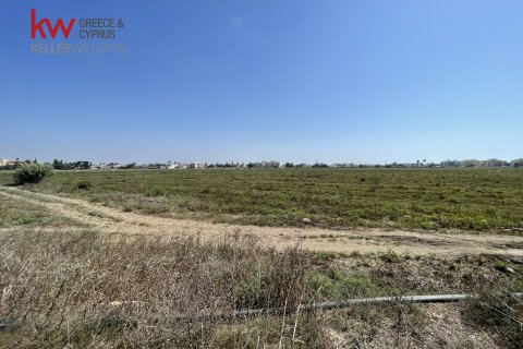 Земельный участок 6252м2 в Перволия, Ларнака, № 40322 2