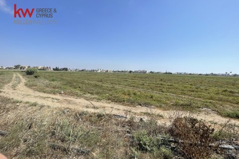 Земельный участок 6252м2 в Перволия, Ларнака, № 40322 3