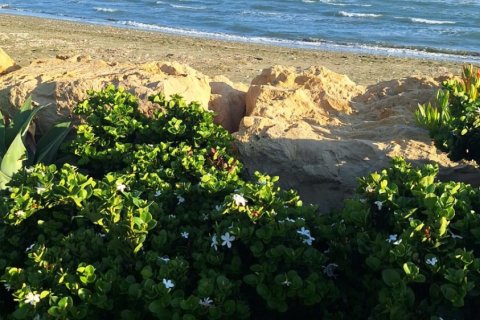 4 bedrooms Villa in Softades, Larnaka,  No. 40325 23