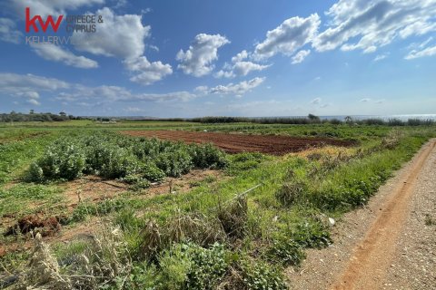8801m2 Land in Ormideia, Larnaka, No. 40321 6