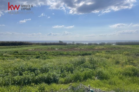 8801m2 Land in Ormideia, Larnaka, No. 40321 4
