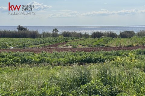 8801m2 Land in Ormideia, Larnaka, No. 40321