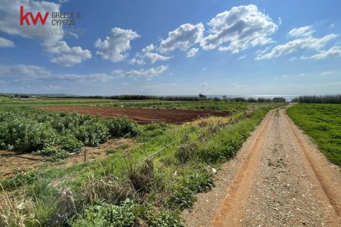 8801m2 Land in Ormideia, Larnaka, No. 40321 5