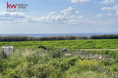 8801m2 Land in Ormideia, Larnaka, No. 40321 3