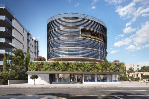 155m2 Office in Paphos,  No. 48397