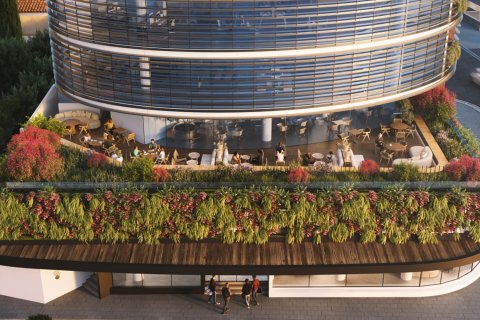 155m2 Office in Paphos,  No. 48397 4