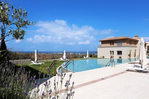 Studio Apartment in Paphos,  No. 38630