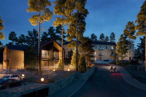 2 bedrooms Townhouse in Prodromos, Nicosia, No. 42115 6