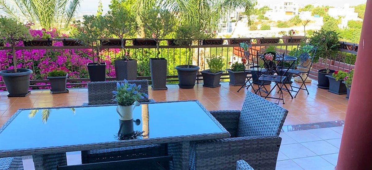 Studio Villa in Limassol, Cyprus No. 38601