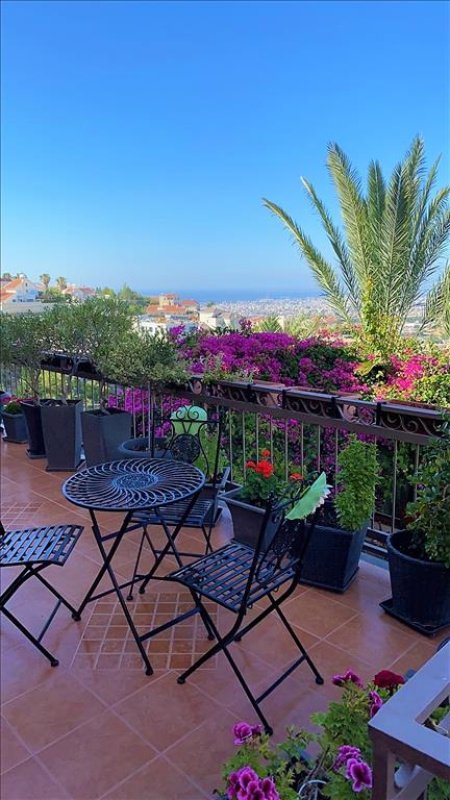 Studio Villa in Limassol, Cyprus No. 38601