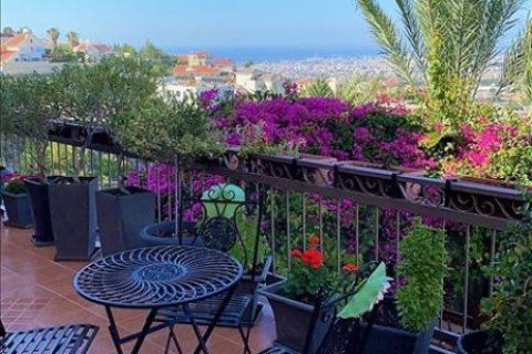 Вилла студия в Лимассол, Лимасол,  № 38601 14