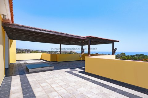 3 bedrooms Villa in Ayia Napa, Ammochostos,  No. 49999 20