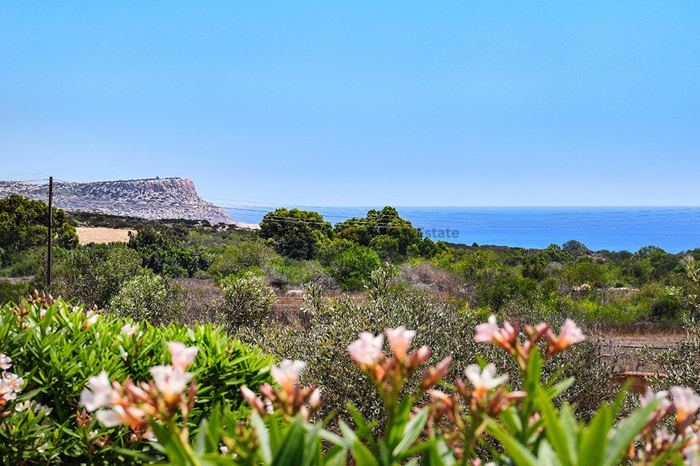 3 dormitorios Villa en Ayia Napa, Ammochostos, Chipre No. 49999