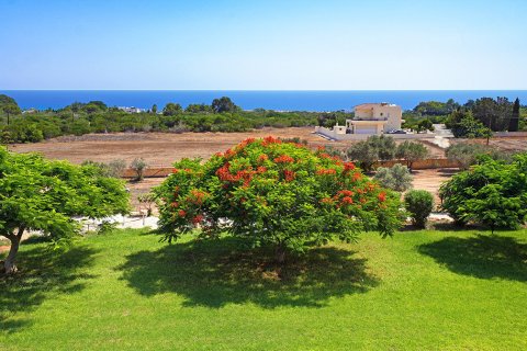 3 bedrooms Villa in Ayia Napa, Ammochostos,  No. 49999 3