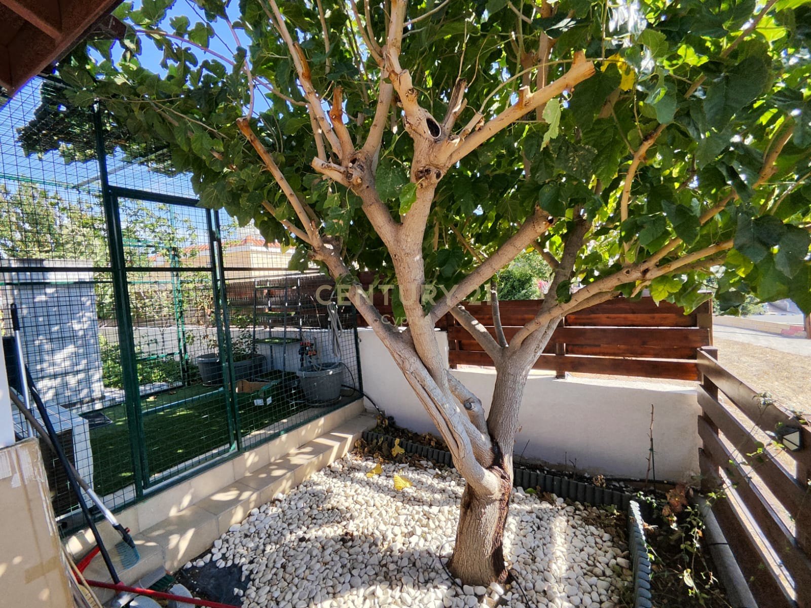 2 bedrooms Bungalow in Parekklisia, Limassol, Cyprus No. 55230