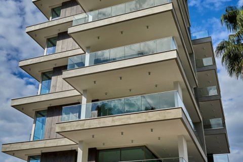 1 bedroom Apartment in Limassol,  No. 49312 23