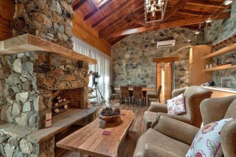 2 bedrooms Villa in Prodromos, Nicosia,  No. 48387 7