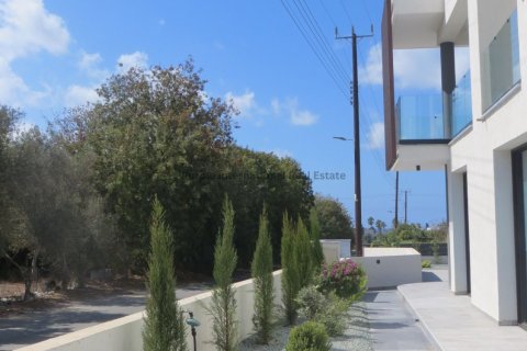 4 bedrooms Villa in Chloraka, Paphos,  No. 37838 18
