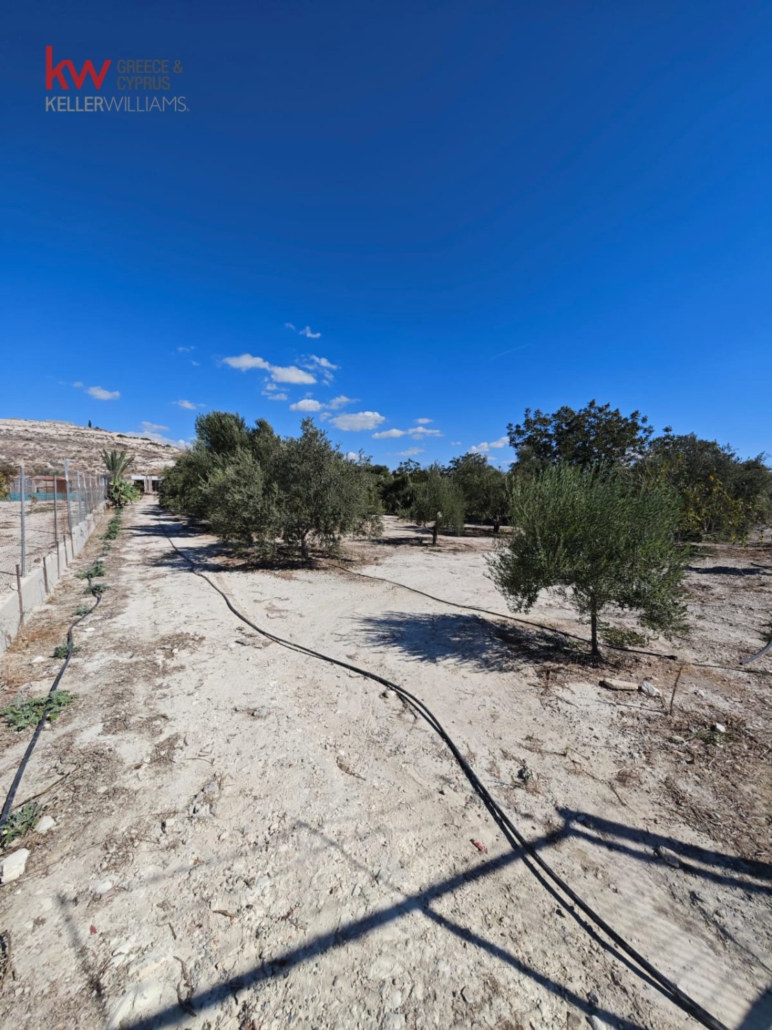 2973m2 Land in Larnaka, Cyprus No. 56858