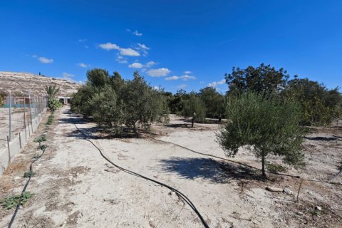 2973m2 Land in Larnaka,  No. 56858 8
