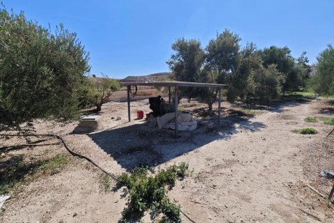 2973m2 Land in Larnaka,  No. 56858 5