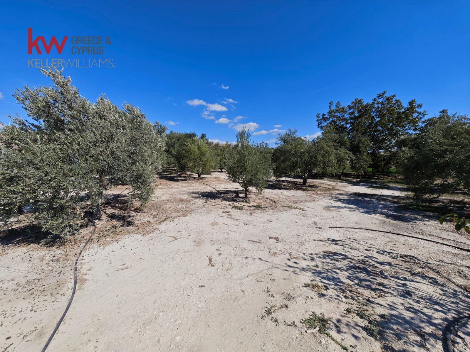 2973m2 Land in Larnaka, Cyprus No. 56858