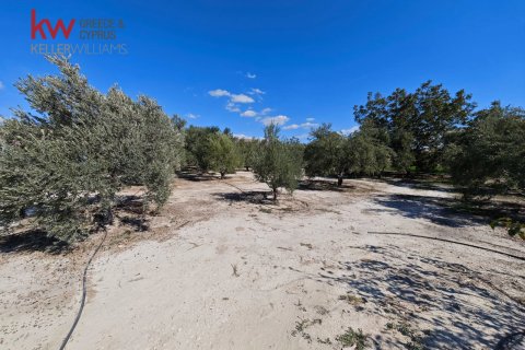 2973m2 Land in Larnaka,  No. 56858 6