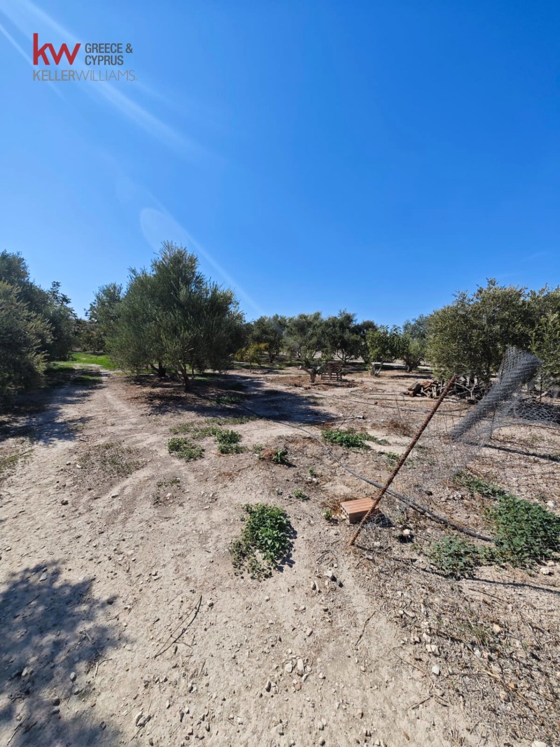 2973m2 Land in Larnaka, Cyprus No. 56858