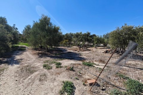 2973m2 Land in Larnaka,  No. 56858 2