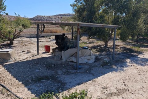 2973m2 Land in Larnaka,  No. 56858 3