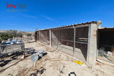 2973m2 Land in Larnaka,  No. 56858 4