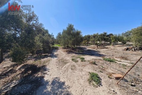2973m2 Land in Larnaka,  No. 56858