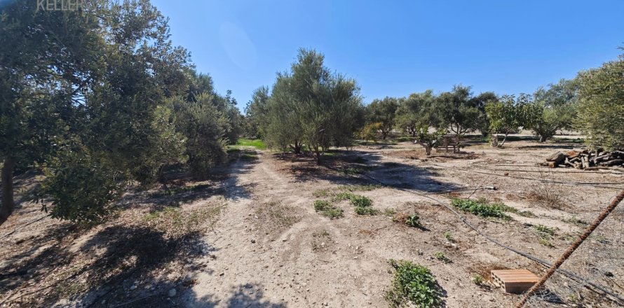 2973m2 Land in Larnaka,  No. 56858