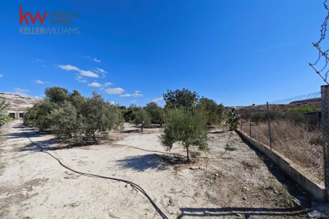 2973m2 Land in Larnaka,  No. 56858 7