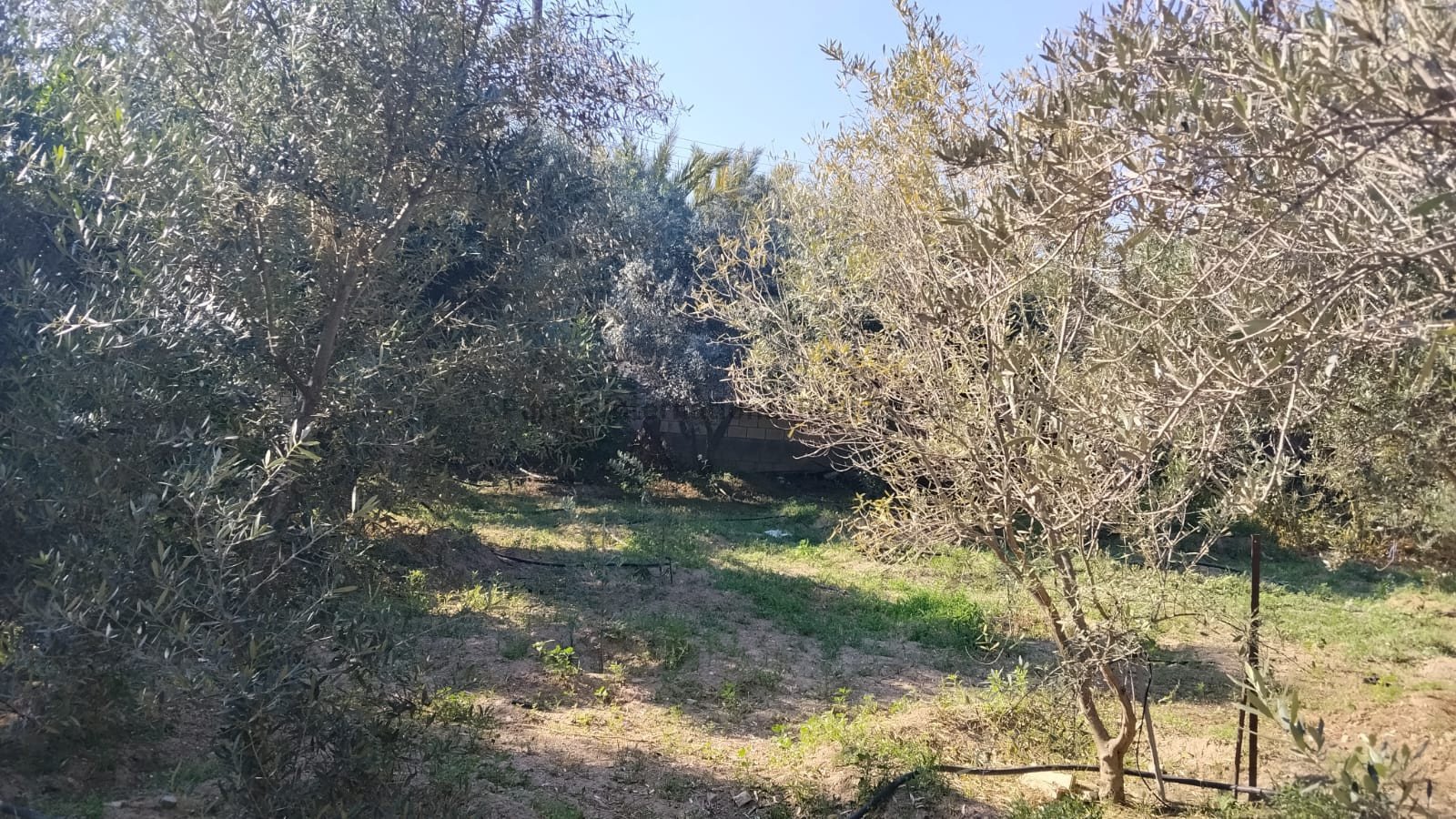3 bedrooms Villa in Anglisides, Larnaka, Cyprus No. 54812