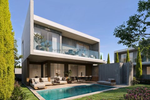 Вилла с 3 спальнями в Агиа Маринуда, Пафос,  № 54500 8