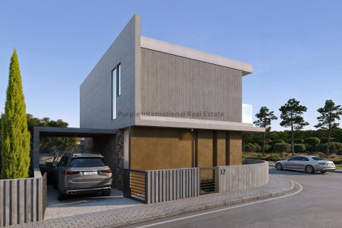 Вилла с 3 спальнями в Агиа Маринуда, Пафос,  № 54499 3