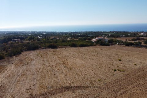 3 bedrooms Villa in Tala, Paphos, Cyprus No. 37062 6