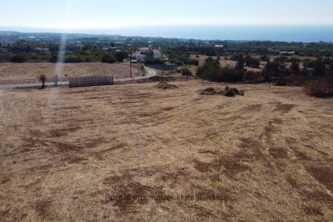 3 bedrooms Villa in Tala, Paphos, Cyprus No. 37062 8