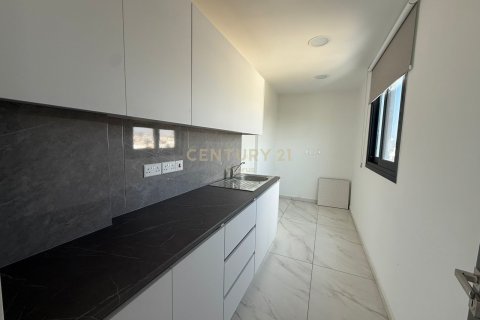 221m2 Oficina en Limassol, No. 56000 5