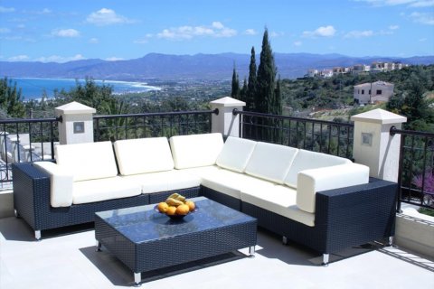 Studio Villa in Paphos, No. 38180 3