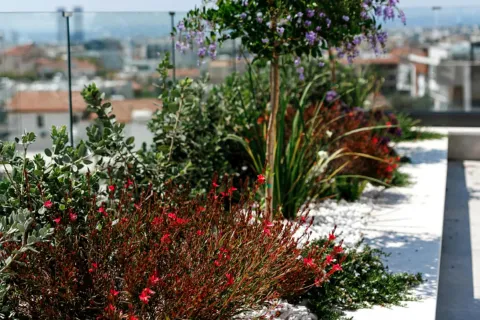 Пентхаус с 4 спальнями в Агиос Афанасиос, Лимасол, № 39304 2