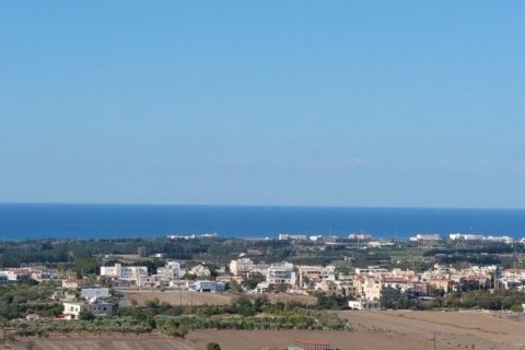 Studio Villa in Paphos,  No. 38563 15