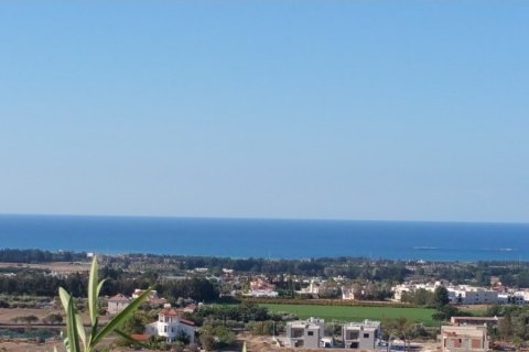 Studio Villa in Paphos,  No. 38563 14