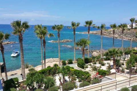 Estudio Villa en Paphos,  No. 38562 13